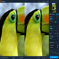 Topaz Gigapixel AI 8.4.3