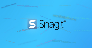 تنزيل Snagit 2025.3.1 (64-bit)