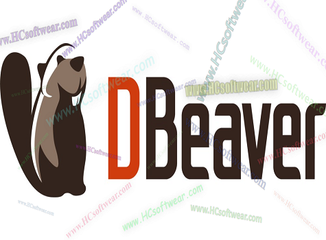 DBeaver 25.2.2لتصميم وإدارة قواعد البيانات