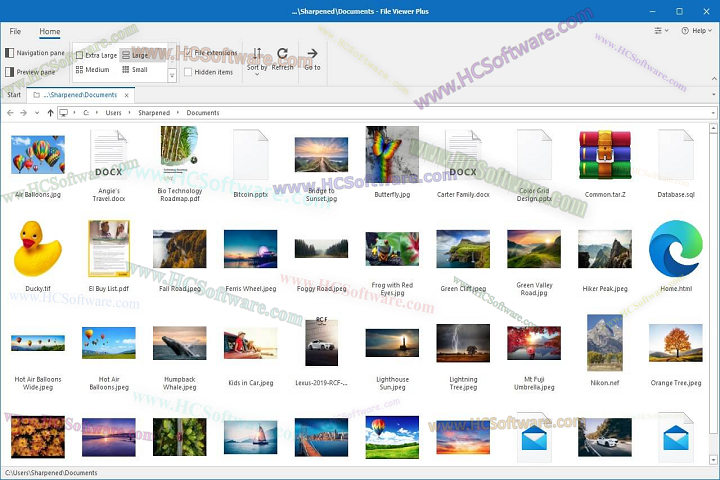 file viewer plus latest version file viewer plus latest version