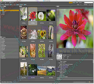 تحميل Adobe Bridge 2026 (v16.0.0.63)