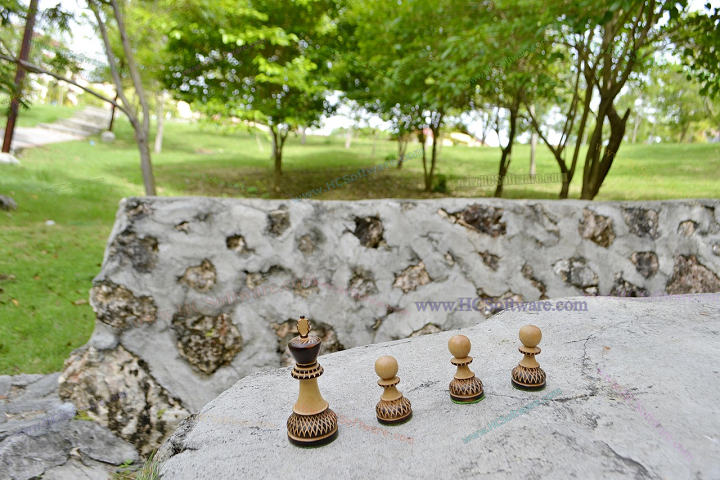  Chess King 25.0.0.2520 full version download