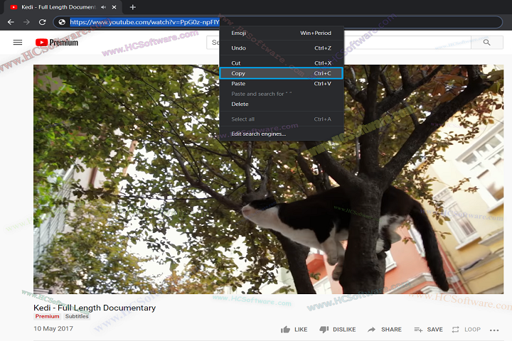  Free YouTube Download