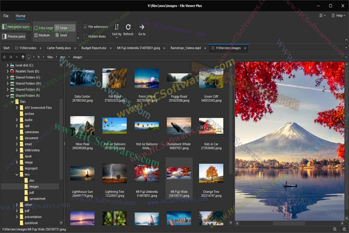 File Viewer Plus 6.1.0.60 Free Download