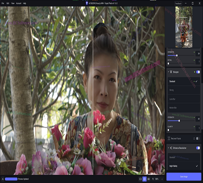 تحميل Topaz Photo Pro 1.1.0