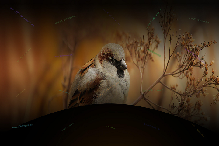  Aiarty Image Enhancer تنزيل مجاني