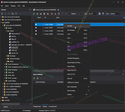 تحميل Cogin QueueExplorer Professional 5.0.65 
