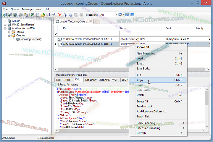  QueueExplorer Professional latest version