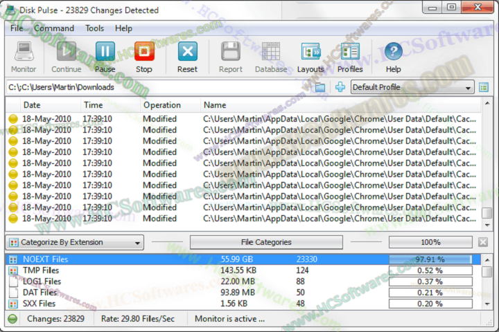 Disk Pulse 17.6.32 Free Download
