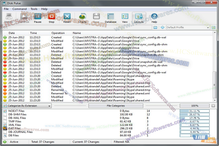 Disk Pulse 17.6.32 Download Free
