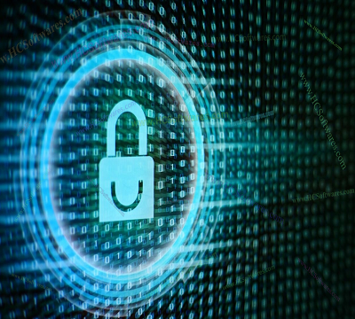 Secure Delete Professional 216